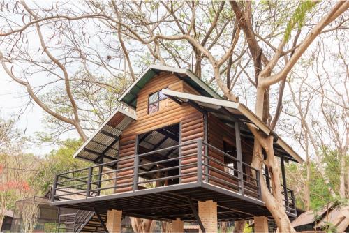 Custom Treehouse Design